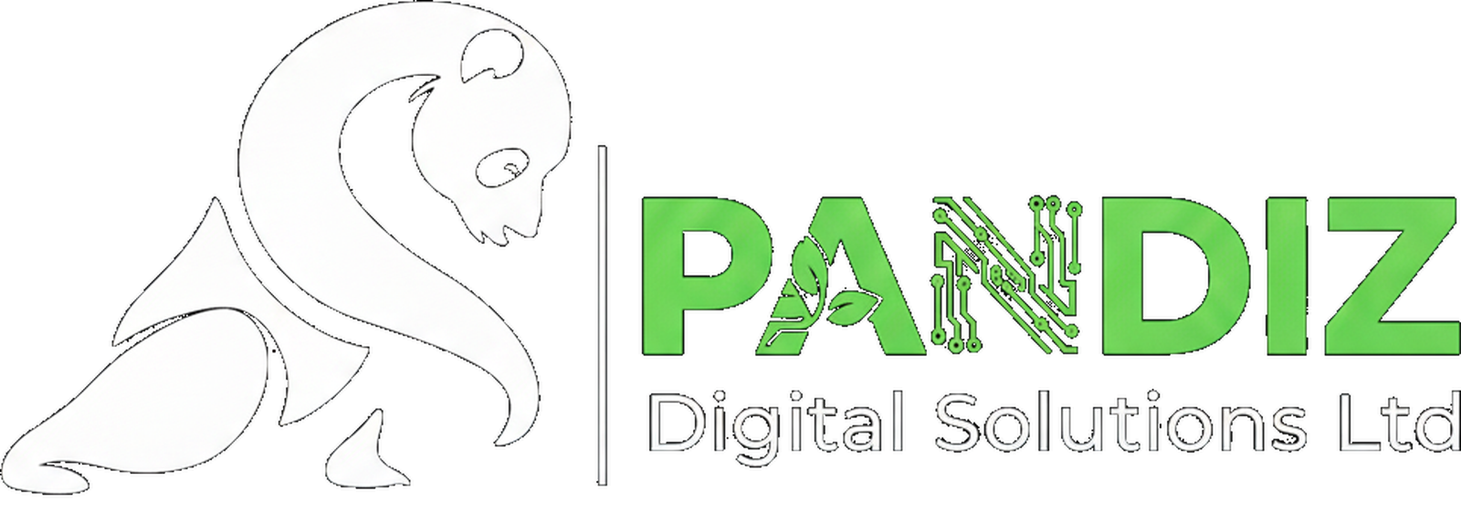 Pandiz Digital Solutions